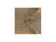 HOLZ PROF, toonitud 20L 672-F